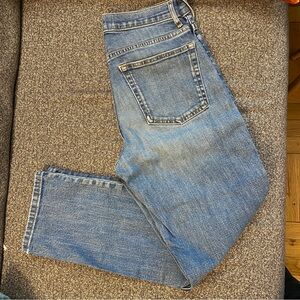 Everlane The Cheeky Slim Straight Blue Jeans